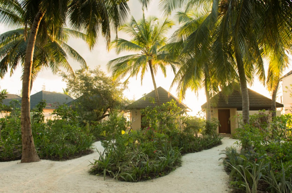 content/hotel/Summer Island Maldives/Accommodation/Premium Beach Villa/SummerIsland-Acc-PremiumBeachVilla-02.jpg
